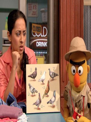 cover image of Sesame Street, Season 41, Episode 4221